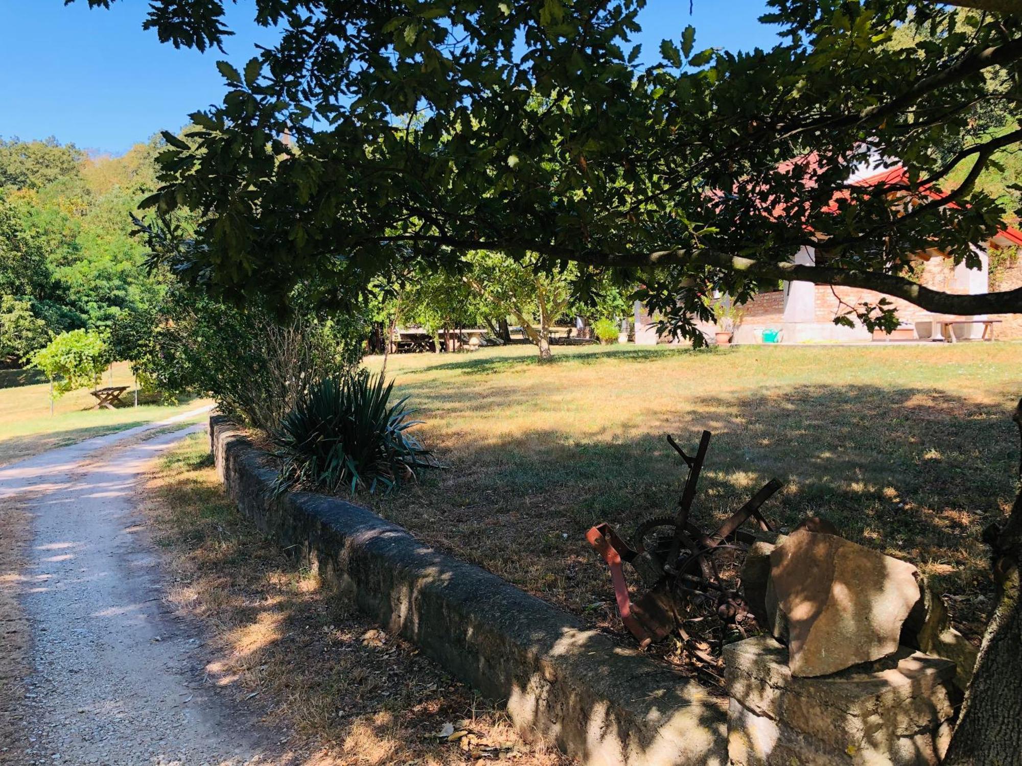 Aligvár Vendégház Salfold Extérieur photo