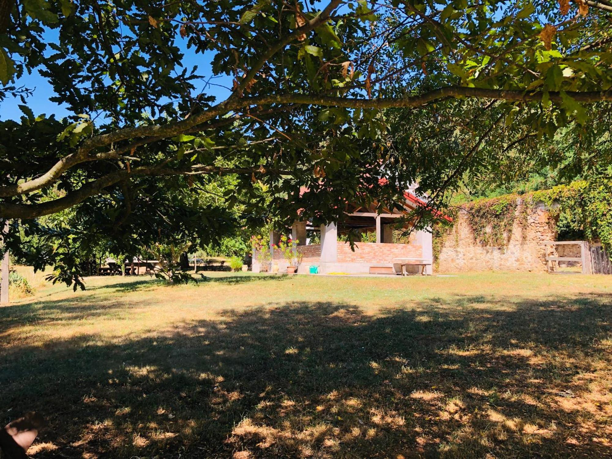 Aligvár Vendégház Salfold Extérieur photo
